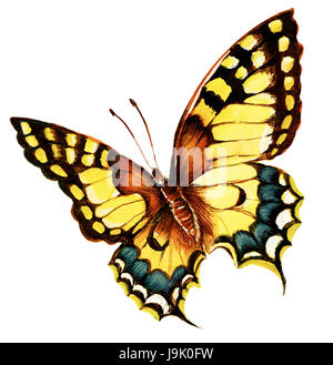 Leben, existieren, Dasein, Leben, Leben, Leben, Umwelt, Umwelt, Kunst, Stockfoto