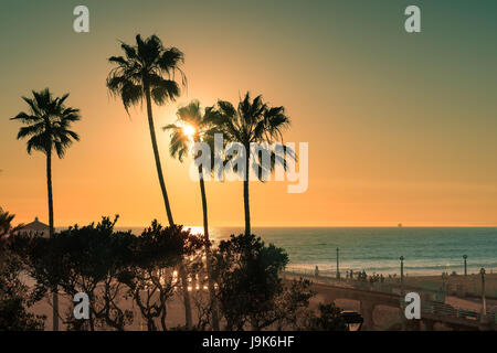 Palmen am Strand von Manhattan bei Sonnenuntergang, California. Stockfoto