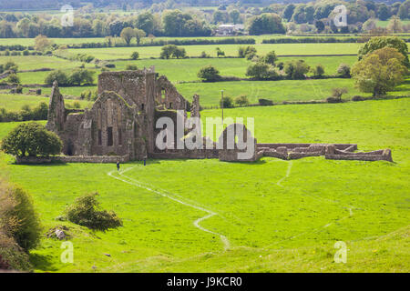 Irland, County Tipperary, Cashel, Hore Abbey Ruinen, 13. Jahrhundert Stockfoto
