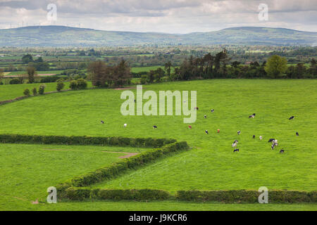 Irland, County Tipperary, Cashel, erhöhten Blick auf die Landschaft Stockfoto
