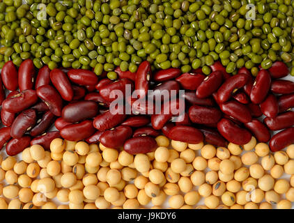 Grüne Bohnen, Sojabohnen und rote Bohnen-Hintergrund / verschiedene Arten von Bohnen Stockfoto