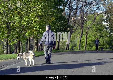 Glasgow Kelvingrove Park Szene Hundebesitzer Stockfoto
