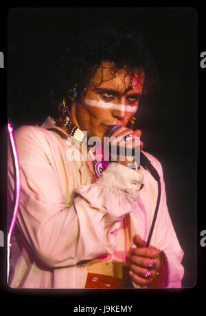 Adam und die Ameisen die live bei The Roxy Theatre in Hollywood, CA USA am 13. April 1981.  Foto © Kevin Estrada / Medien Punch Stockfoto