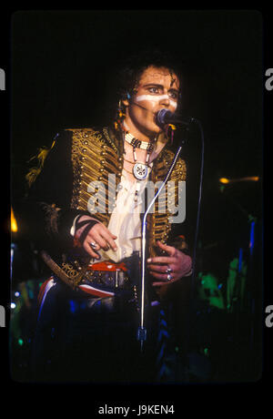 Adam und die Ameisen die live bei The Roxy Theatre in Hollywood, CA USA am 13. April 1981.  Foto © Kevin Estrada / Medien Punch Stockfoto