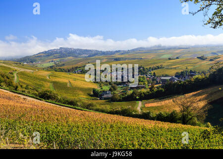 Frankreich, Loire, Sancerre, Chavignol Weiler oder Dorf, Weinberg im Herbst und Sancerre weit Stockfoto