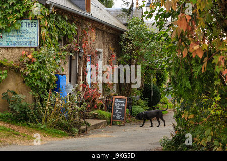 Frankreich, Cher, La Borne, der Epicerie, Lebensmittelgeschäft, Teestube und Restaurant ein wichtiger Ort für das Dorf Stockfoto