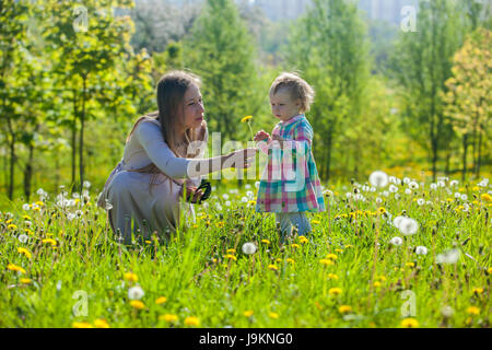 Stadtpark Stockfoto