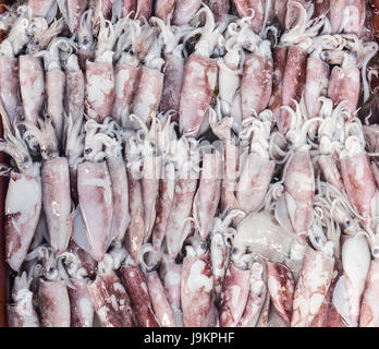 Frischer Tintenfisch auf Eis für den Verkauf am See Markt Stockfoto