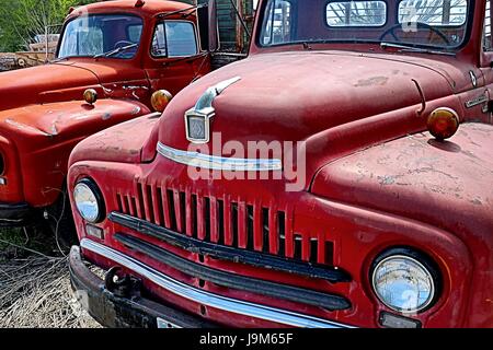 Ein paar alte "International Harvester" Pickup-Trucks verlassen auf einem Schrottplatz in ländlichen Idaho, USA. Stockfoto