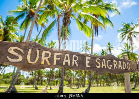 Zeichen vor der tropischen Palmen Baum Hintergrund sagen Surfar É Sagrado (Surfen ist Heilige) auf abgelegenen Insel Strand in Bahia, Brasilien Stockfoto