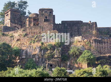 Ranthambore Nationalpark Stockfoto