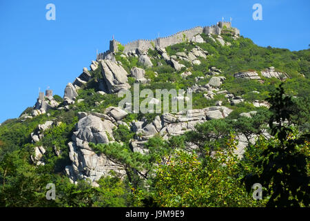 Burg der Mauren Sintra Portugal Stockfoto