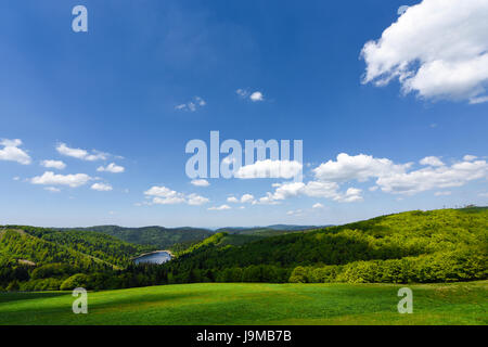 Idyllischer See im französischen Elsass, umgeben von grünen Wiesen und Wald. Frankreich Stockfoto