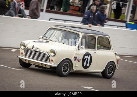 1964 Morris Mini Cooper S mit Gavin Henderson Fahrer während des Rennens Whitmore Cup bei Goodwood GRRC 74. Mitgliederversammlung, Sussex, UK. Stockfoto