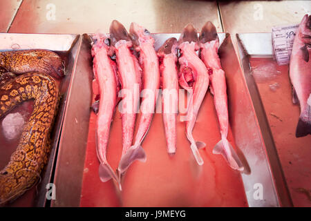 Dornhai und anderen nassen Fisch in Kisten zum Verkauf auf einem Marktstand in Marsaxlokk Malta Stockfoto