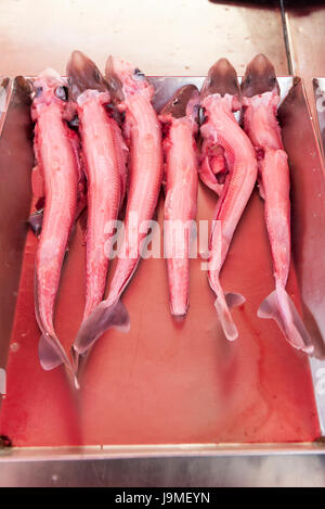 Dornhai und anderen nassen Fisch in Kisten zum Verkauf auf einem Marktstand in Marsaxlokk Malta Stockfoto