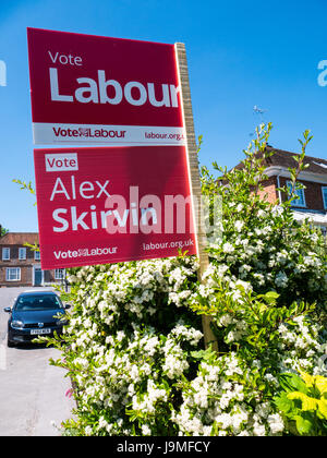 Arbeitsrechtlichen Abstimmung anmelden gehobenen Streatley, Berkshire, England Stockfoto