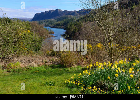 Blick hinunter auf Loch Carron aus Plockton Dorf, Highland Region, Schottland Stockfoto