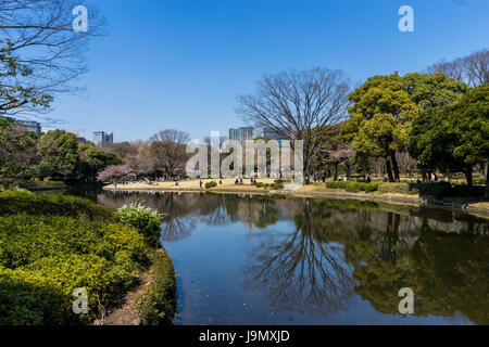 Sakura Jahreszeiten Hanami in Japan Chidorigafuchi Gärten Stockfoto