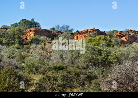 Namibia, Waterberg plateau Stockfoto