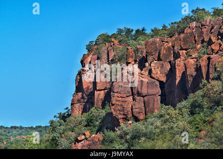 Namibia, Waterberg plateau Stockfoto