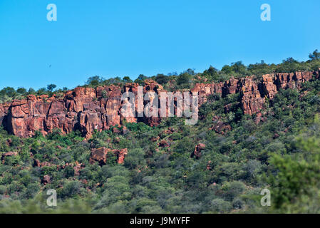 Namibia, Waterberg plateau Stockfoto