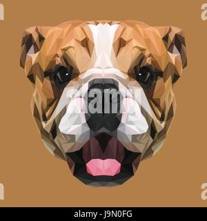 Englische Bulldogge-low-Poly-Design. Dreieck-Vektor-Illustration. Stock Vektor