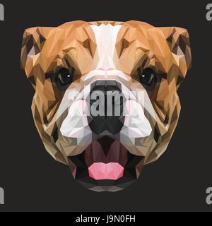 Englische Bulldogge-low-Poly-Design. Dreieck-Vektor-Illustration. Stock Vektor