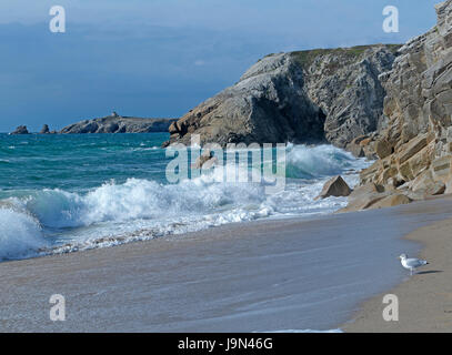 Flut am Strand von Port Rhu, wilde Küste der Halbinsel Quiberon (Morbihan, Bretagne, Frankreich). Stockfoto