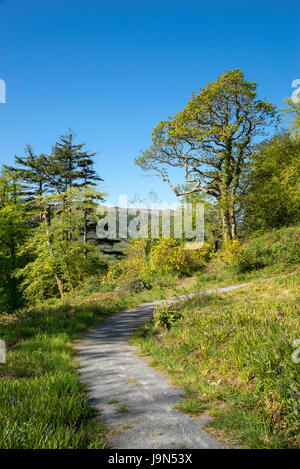 Plas Tan y Bwlch Gärten in der Nähe von Maentwrog in Snowdonia, North Wales, UK. Stockfoto