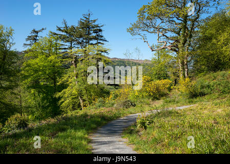 Plas Tan y Bwlch Gärten in der Nähe von Maentwrog in Snowdonia, North Wales, UK. Stockfoto