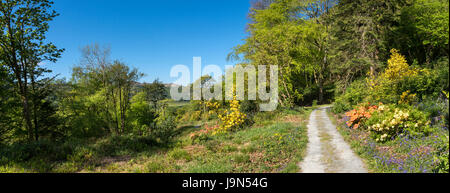 Plas Tan y Bwlch Gärten in der Nähe von Maentwrog in Snowdonia, North Wales, UK. Stockfoto