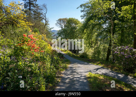 Plas Tan y Bwlch Gärten in der Nähe von Maentwrog in Snowdonia, North Wales, UK. Stockfoto