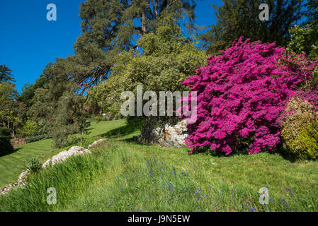 Bunte Gärten im Plas Tan y Bwlch in der Nähe von Maentwrog in Snowdonia, North Wales, UK. Stockfoto