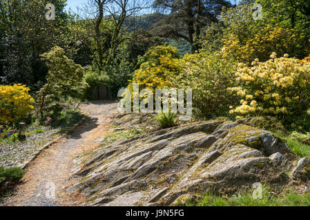 Bunte Gärten im Plas Tan y Bwlch in der Nähe von Maentwrog in Snowdonia, North Wales, UK. Stockfoto