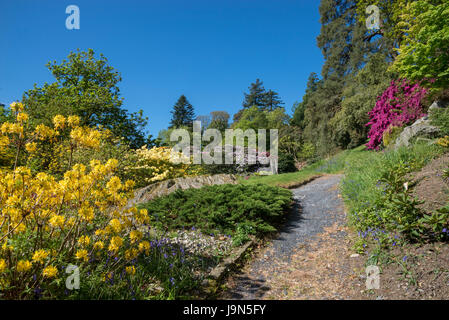 Bunte Gärten im Plas Tan y Bwlch in der Nähe von Maentwrog in Snowdonia, North Wales, UK. Stockfoto