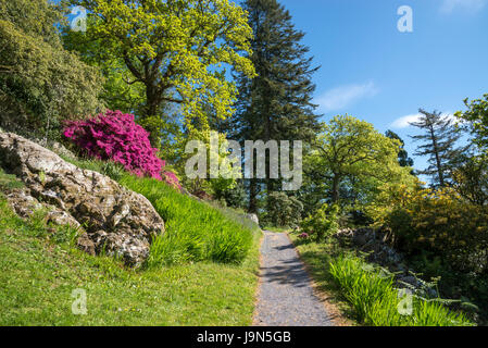 Bunte Gärten im Plas Tan y Bwlch in der Nähe von Maentwrog in Snowdonia, North Wales, UK. Stockfoto