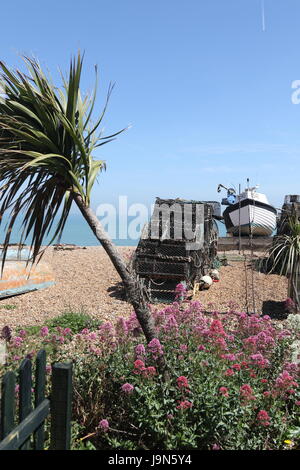 Eine Palme, Pflanzen, Hummer Töpfe und ein Fischerboot am Strand von Deal, Kent Stockfoto