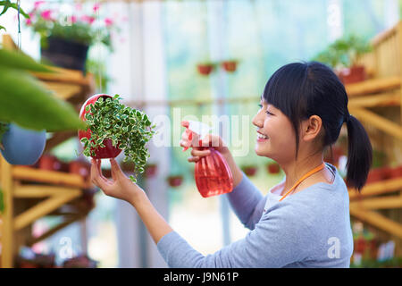 Eine junge asiatische weibliche Blumengeschäft Blumen gießen Stockfoto