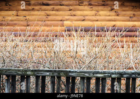 Fragment des ländlichen Hauswand aus unlackierten entrindetes Holzscheite Wallpaper. Stockfoto