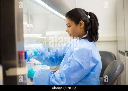 Closeup Portrait, Pipettieren von 50 mL konische Rohr mit blauen flüssige Lösung, Labor experimentieren Wissenschaftler isolierten Labor. Forensik, Stockfoto