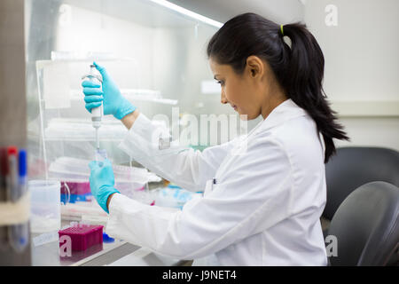 Closeup Portrait, Pipettieren von 50 mL konische Rohr mit blauen flüssige Lösung, Labor experimentieren Wissenschaftler isolierten Labor. Forensik, Stockfoto