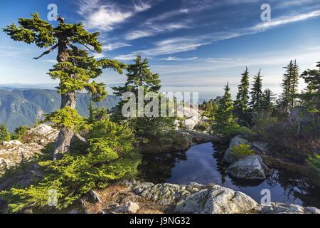 Landschaftlich reizvoller Blick auf das Fraser Valley vom zweiten Gipfel des Mount Seymour in den North Shore Mountains über der Stadt Vancouver, British Columbia, Kanada Stockfoto