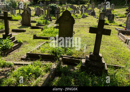 Stillgelegten Friedhof in Bier, Devon, Friedhof nicht mehr in Gebrauch. Stockfoto