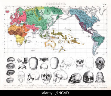 1874 antike deutsche Enzyklopädie Atlas Print: Weltkarte ethnographischen Verteilung der Rassen mit verschiedenen menschlichen Schädel Stockfoto