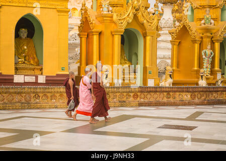 Drei junge Mönche zu Fuß. Shwedagon-Pagode, Yangon, Myanmar. Stockfoto