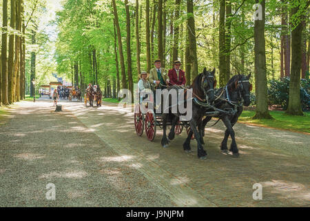 Apeldoorn, Niederlande, 8. Mai 2016: Prozession der Trainer auf die Spur, der Palast Het Loo in Apeldoorn Stockfoto