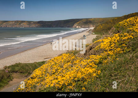 Großbritannien, Wales, Pembrokeshire, Newgale Sands, Besucher auf steinigen Sturm Strand bei Flut Stockfoto