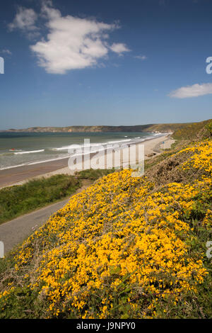 Großbritannien, Wales, Pembrokeshire, Newgale Sands, Besucher auf steinigen Sturm Strand bei Flut Stockfoto