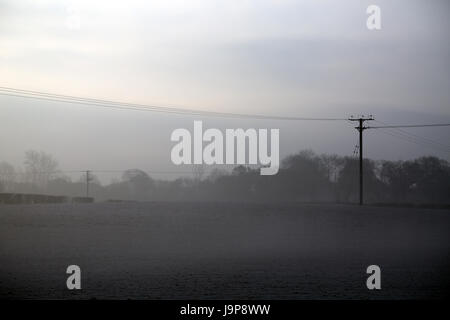 Telegraphenmast und Feld An einem frostigen Morgen, Brabourne Lees, Ashford, Kent, England, Großbritannien Stockfoto